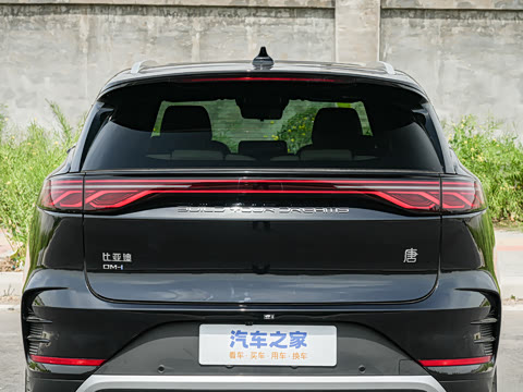 2025�� DM-i 175KM �캽��
