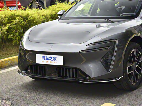 2025�� Max�����