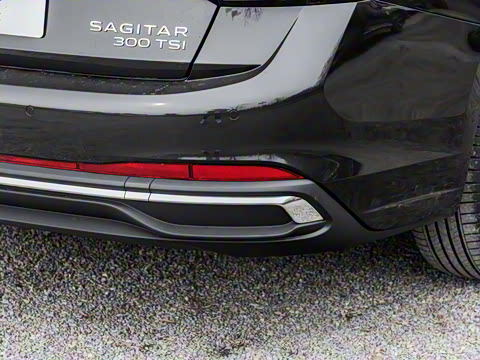 2025�� �Ŀ� 300TSI DSG��Խ��