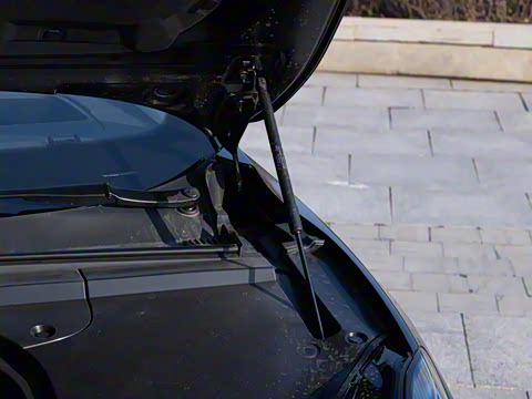 2025�� 750��ѡ��