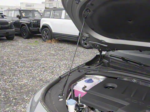 2025�� 2.0T �Զ���+