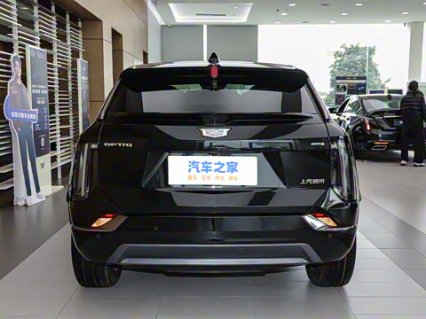 2024�� ������������