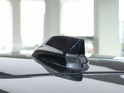 2024�� ������������