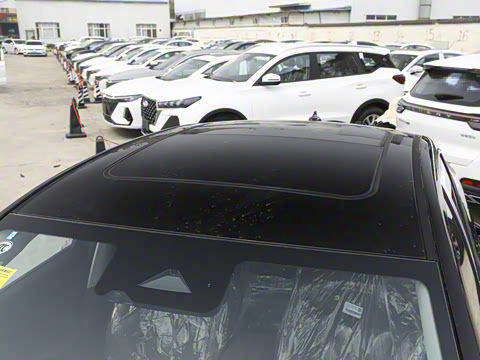 2025�� 2.0T DCT��