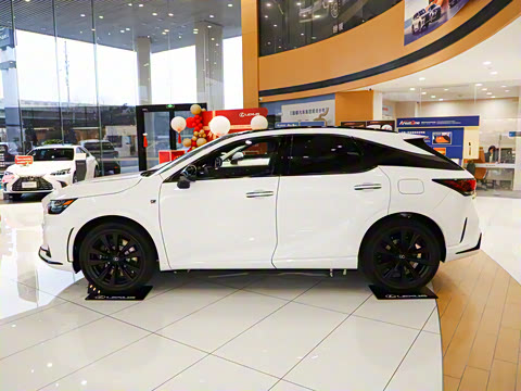 2025�� 500h ����F SPORT Performance