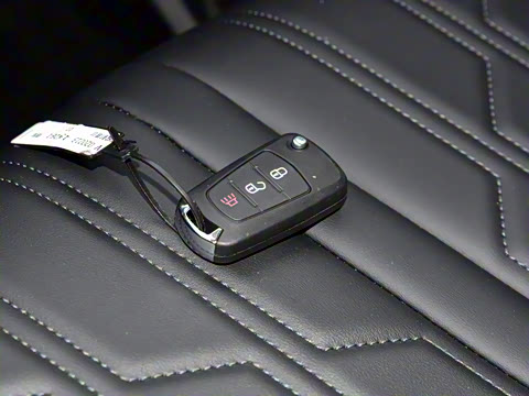 2025�� 2.0T�Զ������촴�� ����