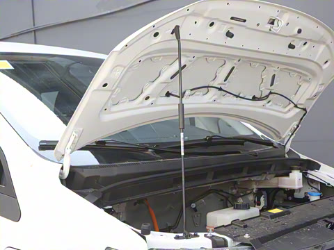 2025�� Һ��������