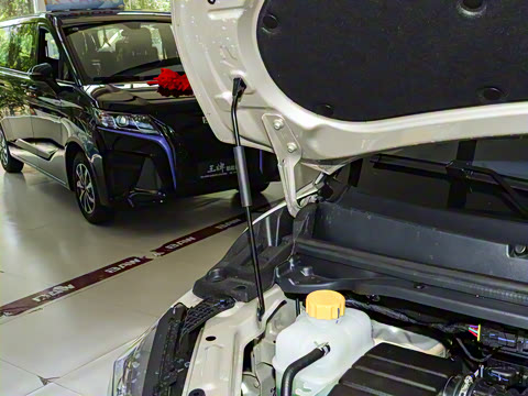 2025�� 1.6L �ֶ����������� 5��