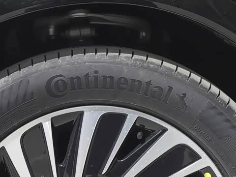 2025�� ���� 265 Pro�������ٸ�����ʻ