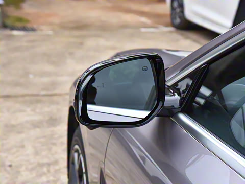 2025�� �������̰� 230�����