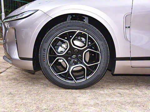 2025�� �������̰� 230�����