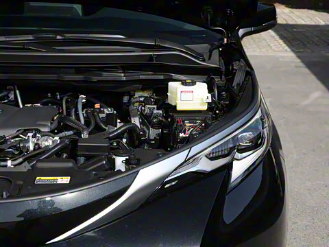 2024�� 2.5L�춯 ����������