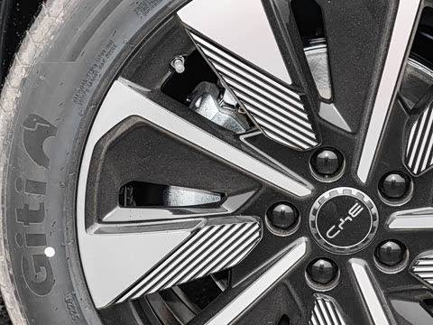 2025�� DM-i �Ǽݰ� 112KM ������