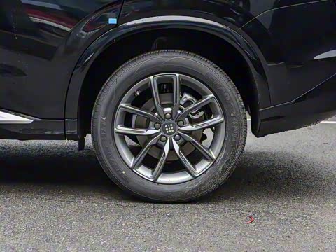 2025�� 165km ������������ 7��