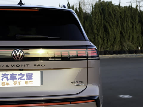 2025�� ;�� Pro 450TSI �����Ƿ��