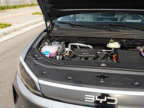 2025�� DM-i �Ǽݰ� 115KM������