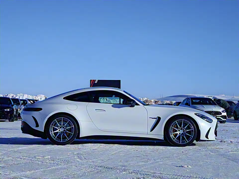 2025�� 63 S E Performance