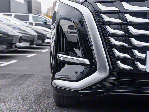 2025�� DM-i �Ǽݰ� 1100 ������