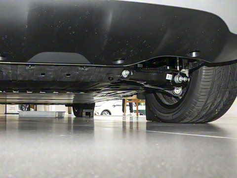 2026�� �鶯������