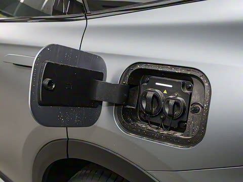 2025�� 100������Plus����