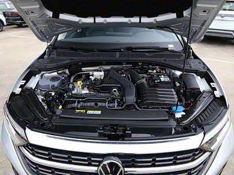 2025�� 300TSI DSG׿Խ��