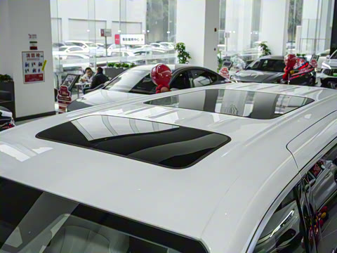 2025�� DM-i 1.5T 100km ��Խ��