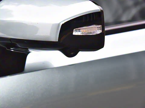 2025�� ���羫Ӣ��