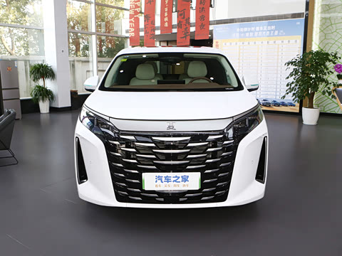 2025�� DM-i 1.5T 180km ��Խ��