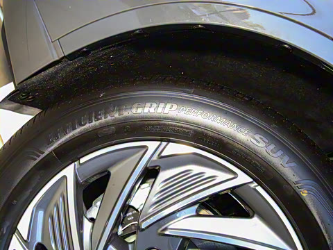 2024�� 1.5T ���������춯��