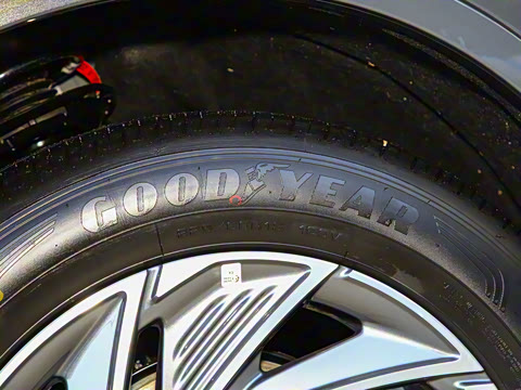 2024�� 1.5T ���������춯��