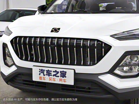 2021�� 300T �ֶ�ȫ�������� 7��