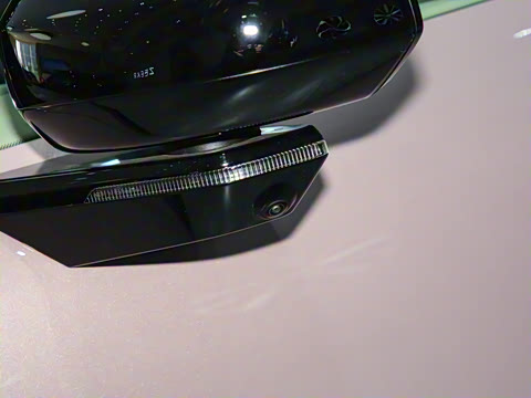 2025�� ����������