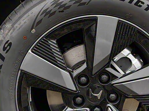 2025�� �����߰�