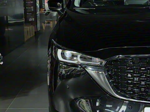 2024�� 2.0L �Զ���������Pro