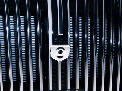 2025�� ������ɽ8