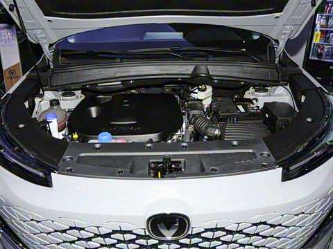 2024�� ������ 1.5T DCT�����