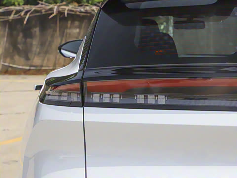 2025�� 205��������������