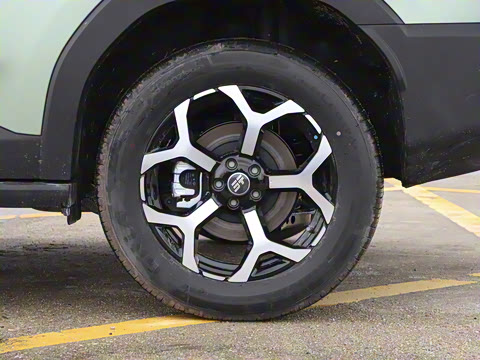 2025�� 226km ��Խ