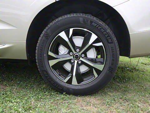 2026�� B5 �������ݺ�����