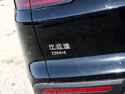 2025�� �ڶ��� DM-i 115KM��Խ��