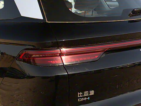 2025�� �ڶ��� DM-i 115KM��Խ��