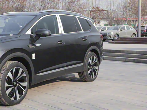 2025�� 380TSI ���������Ѿ�Pro  ������ 7��