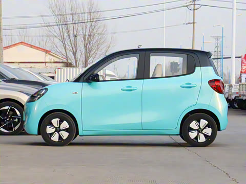 2025�� ���Ű� ����+��