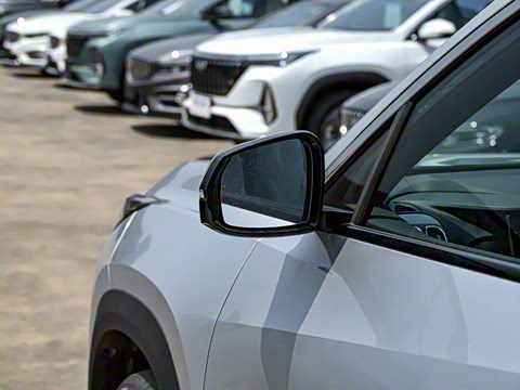 2025�� ���Ĵ� 1.5TD DCT �﷫