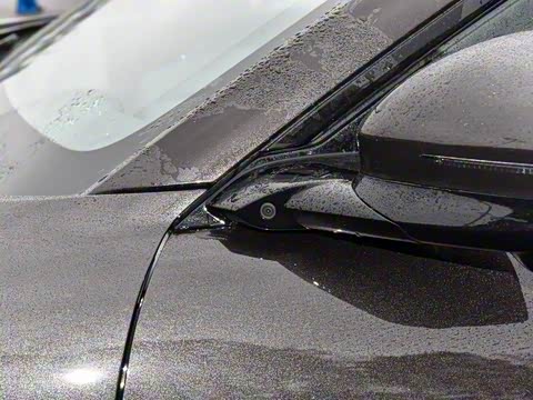 2024�� Max���������