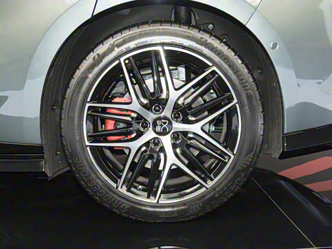 2025�� DM-p ���������״��콢��