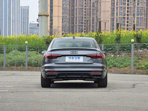 2025�� 200���������� 45 TFSI quattro ��ѡ������