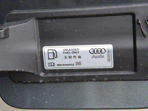 2025�� 200���������� 45 TFSI quattro ��ѡ������