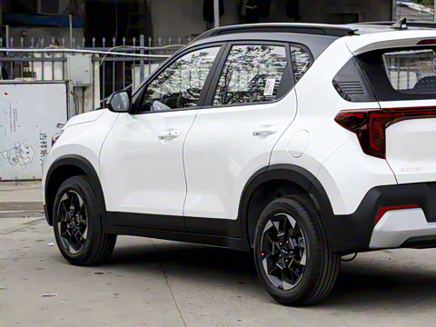 2024�� 1.5L ����������