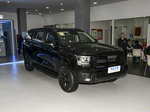 2025�� 2.0T�Զ�������Ӣ�� ����